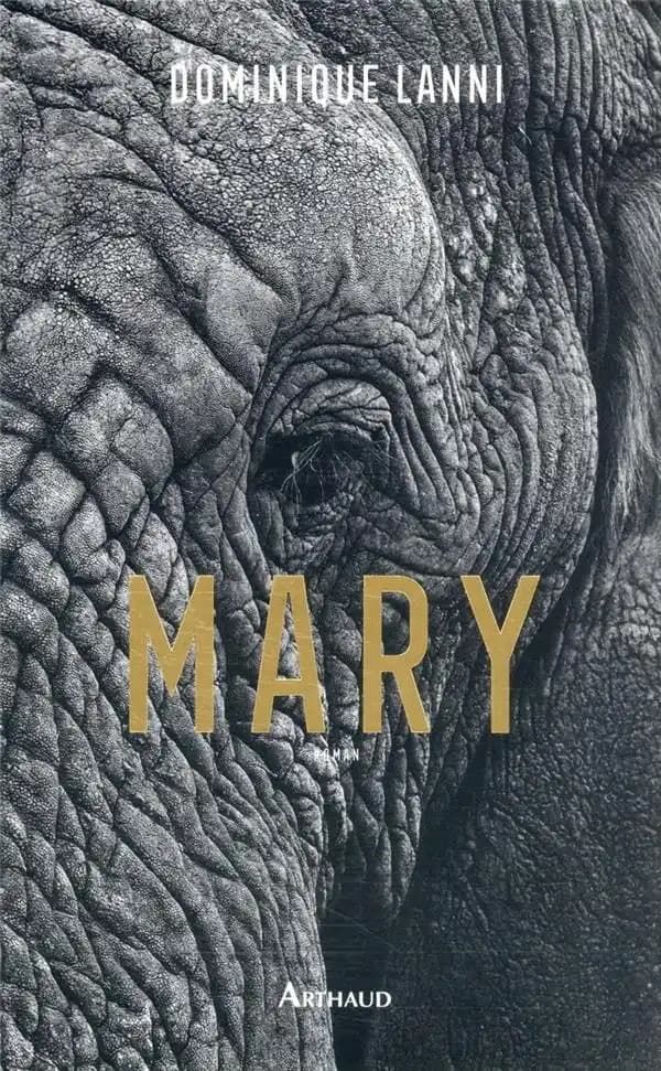 Mary : roman