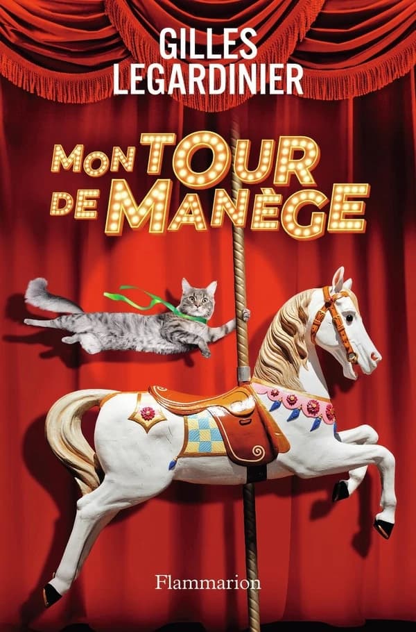 Mon tour de manège : roman