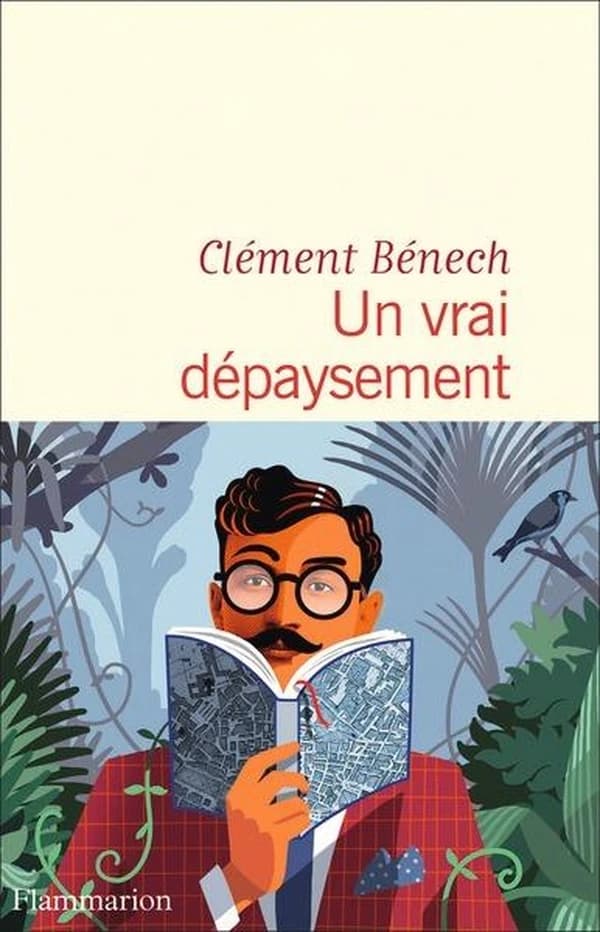 Un vrai dépaysement : roman