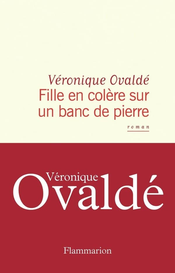 Fille en colère sur un banc de pierre : roman