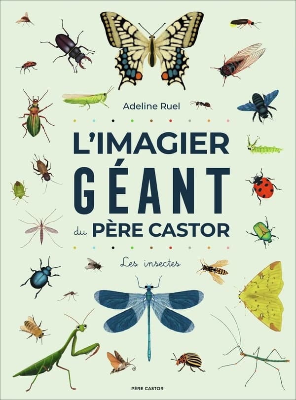 Les insectes