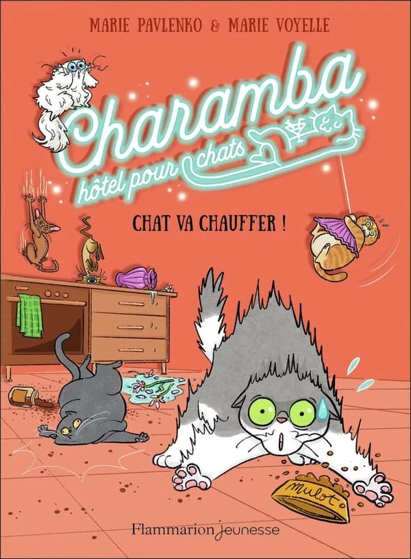 Chat va chauffer