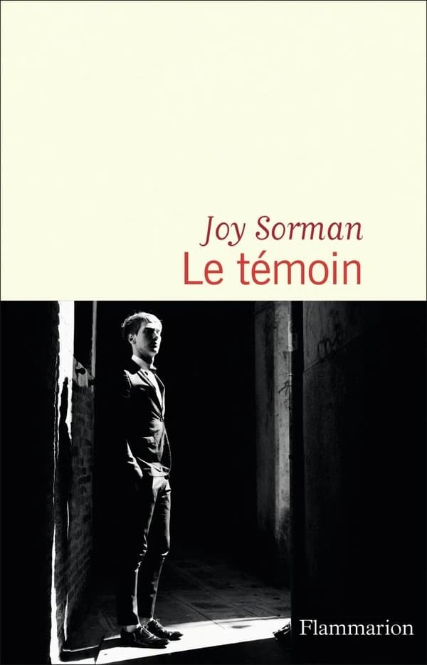 Le témoin : roman