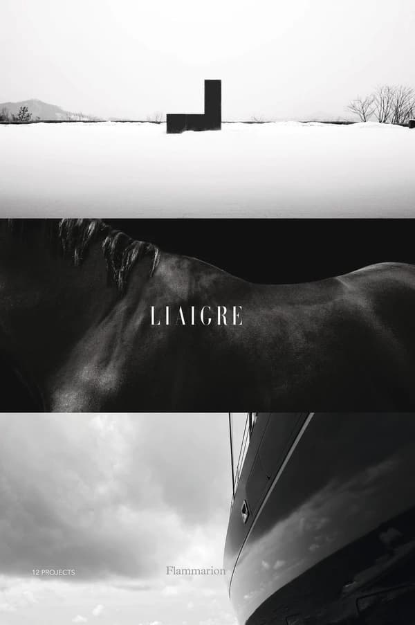 Liaigre : 12 projects (New ed.)