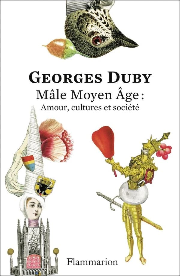 Mâle Moyen Âge : amour, cultures et société