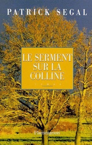 Le serment sur la colline : roman