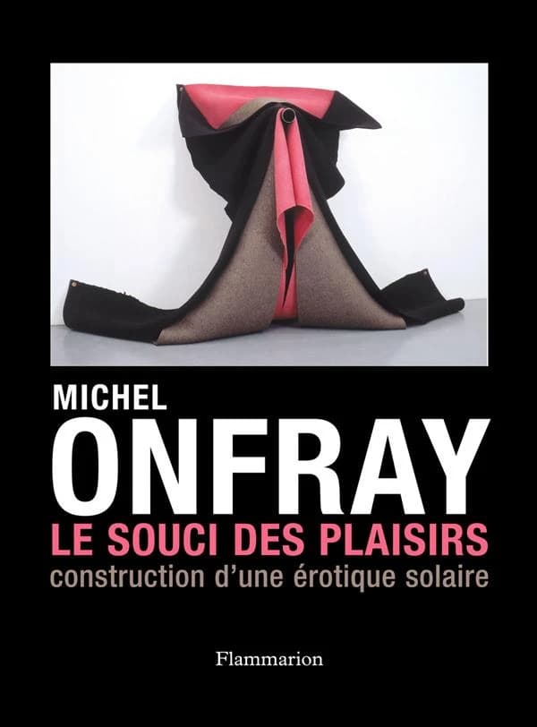 Le Souci des plaisirs : Construction d'une érotique solaire