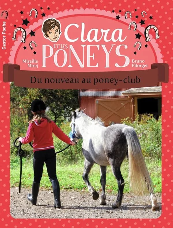 Du nouveau au poney-club
