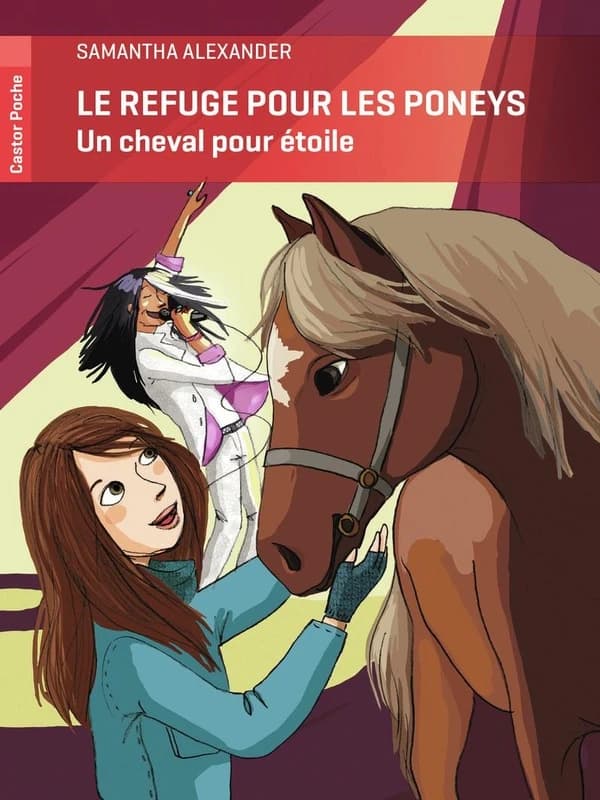 Le refuge pour les poneys ; un cheval pour Etoile