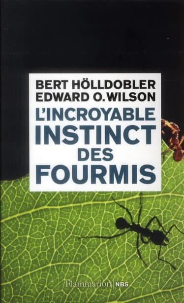 L'incroyable instinct des fourmis : de la culture du champignon à la civilisation