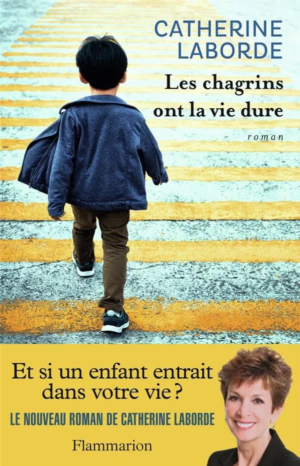 Les chagrins ont la vie dure : roman