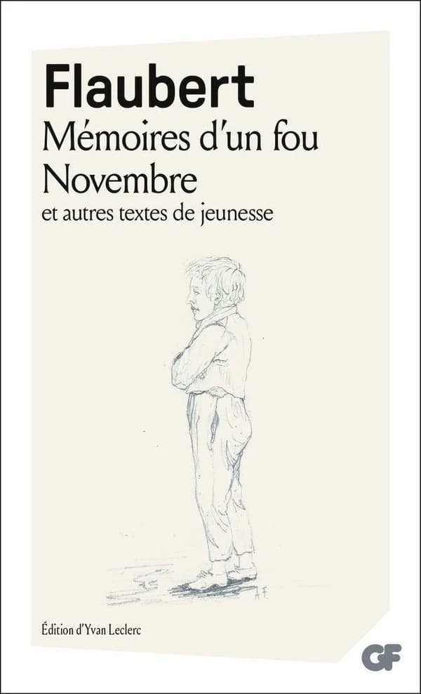Mémoires d'un fou ; Novembre ; et autres textes de jeunesse