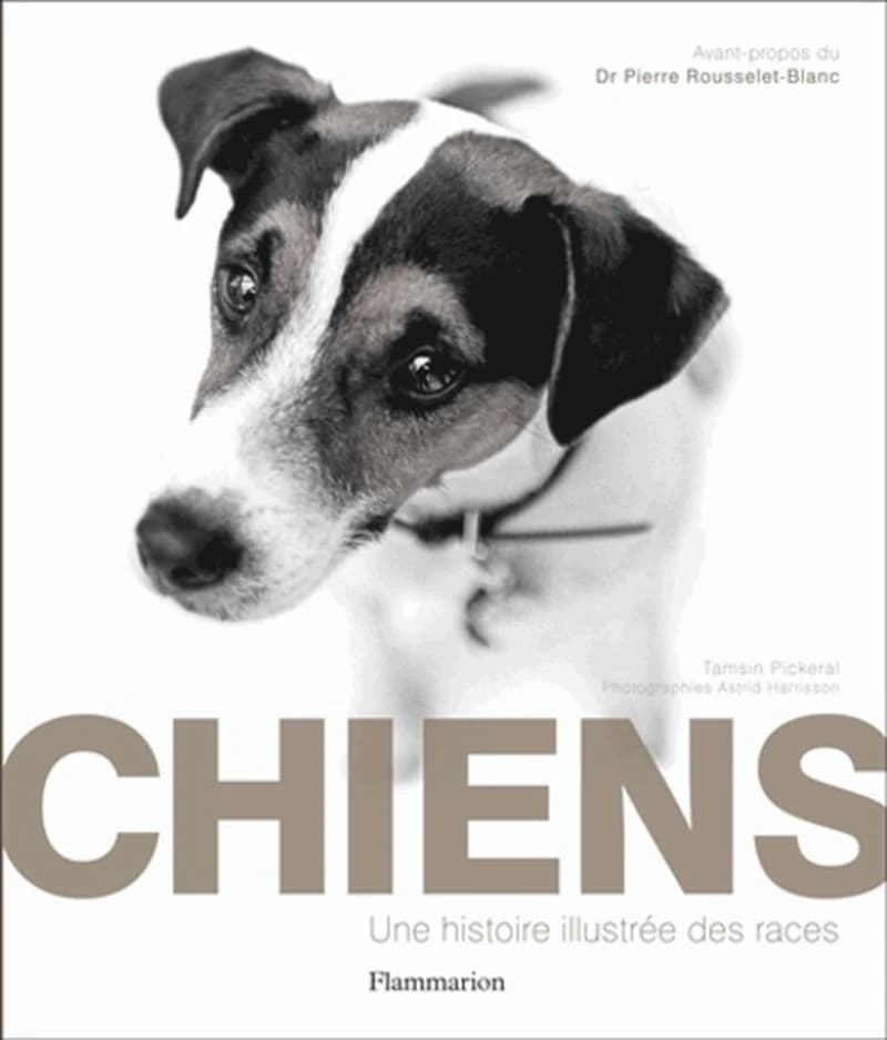 Chiens : une histoire illustrée des races