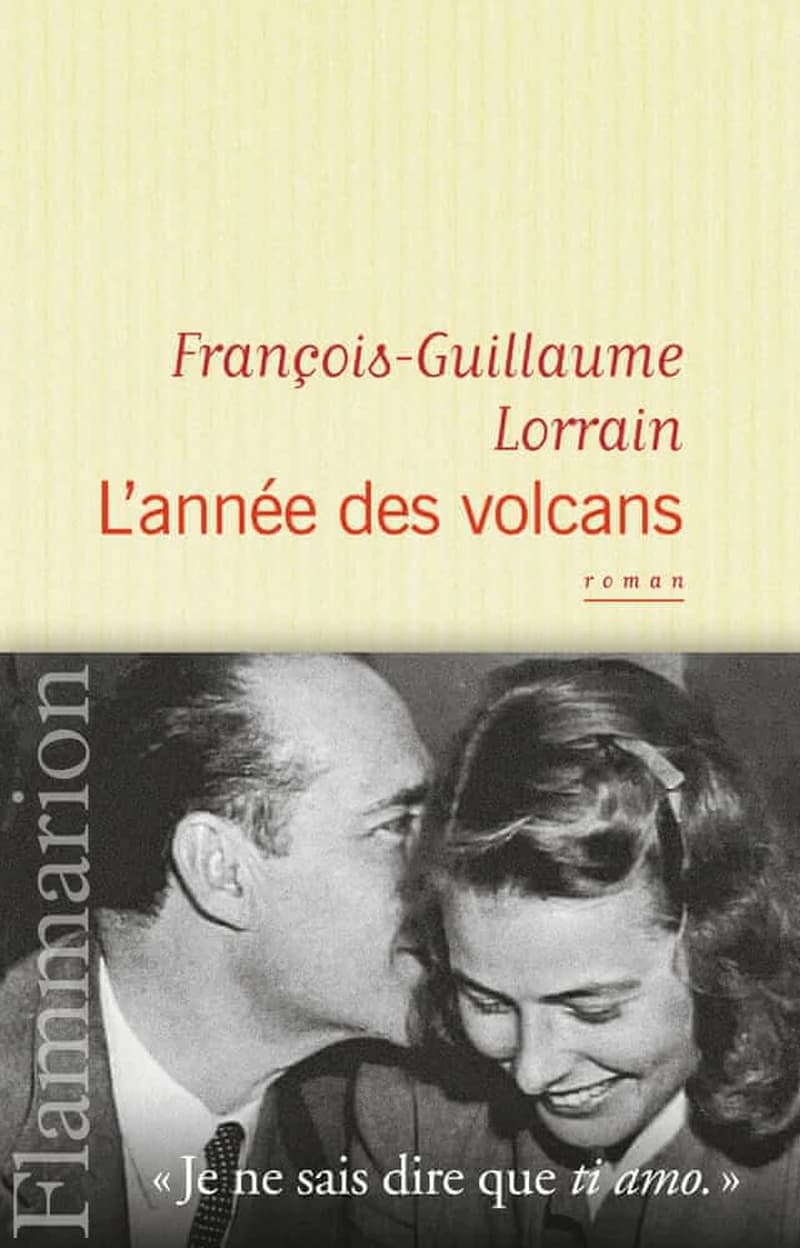 L'année des volcans : roman