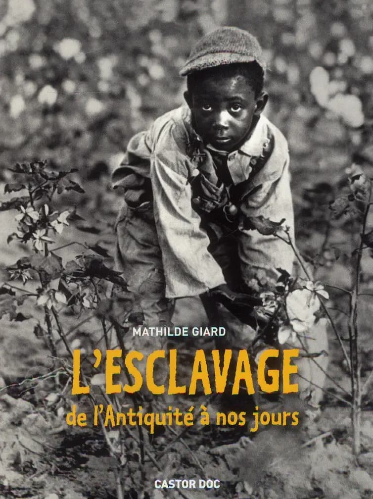 L'esclavage de l'Antiquité à nos jours ([Nouvelle éd.]) Mathilde Giard