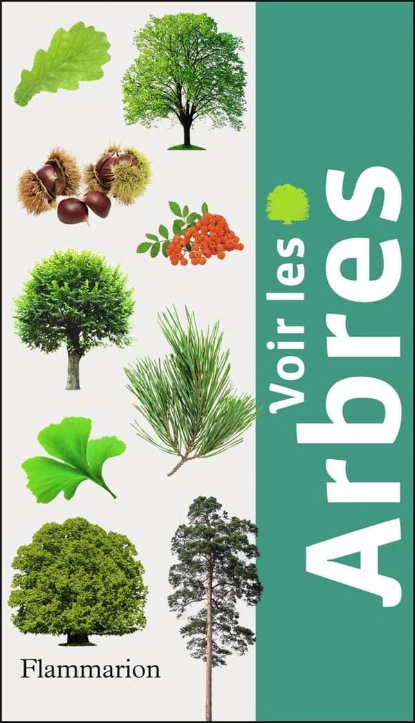 Voir les arbres ([Nouv. éd.]) texte, Bob Press ; trad., Anne Saint-Girons ; adapt., Farid Bensettiti