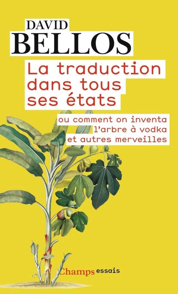 La traduction dans tous ses états : ou comment on inventa l'arbre à vodka et autres merveilles