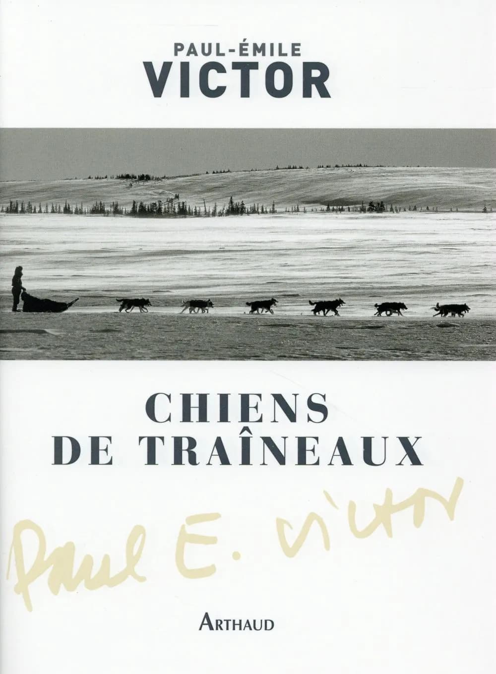 Chiens de traîneaux : compagnons du risque