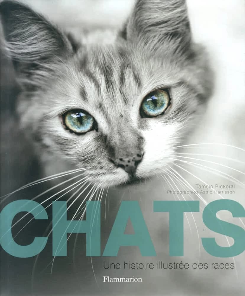 Chats : une histoire illustrée des races