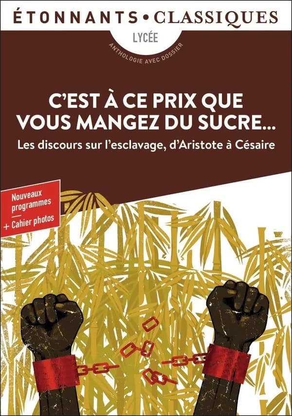 C'est à ce prix que vous mangez du sucre : [les discours sur l'esclavage d'Aristote à Césaire] (Éd. revue) présentation, choix des extraits, notes et dossier par Patrice Kleff,... ; cahier photos par Patrice Soulier,...