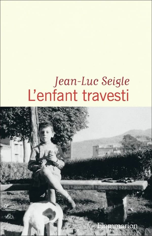L'enfant travesti : roman