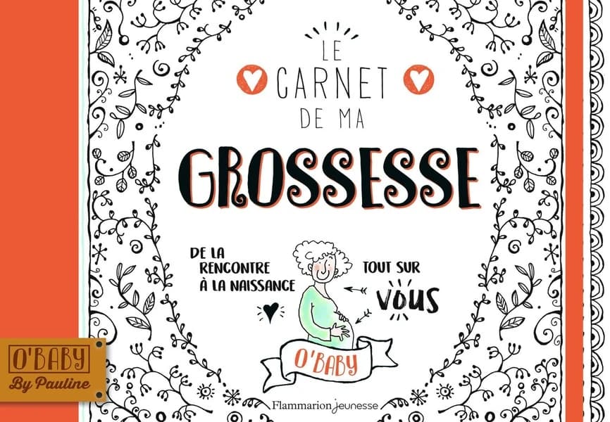 Le carnet de ma grossesse : De la rencontre à la naissance, tout sur vous