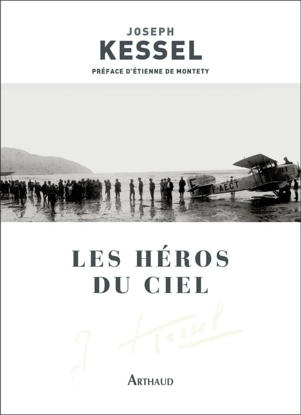 Les héros du ciel