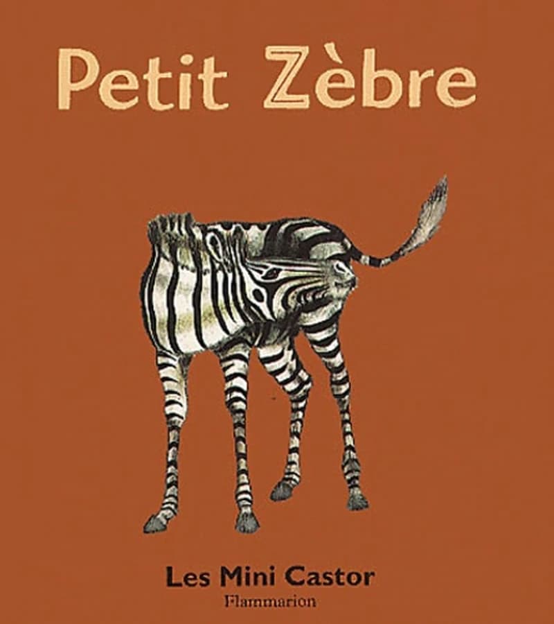 PETIT ZEBRE.