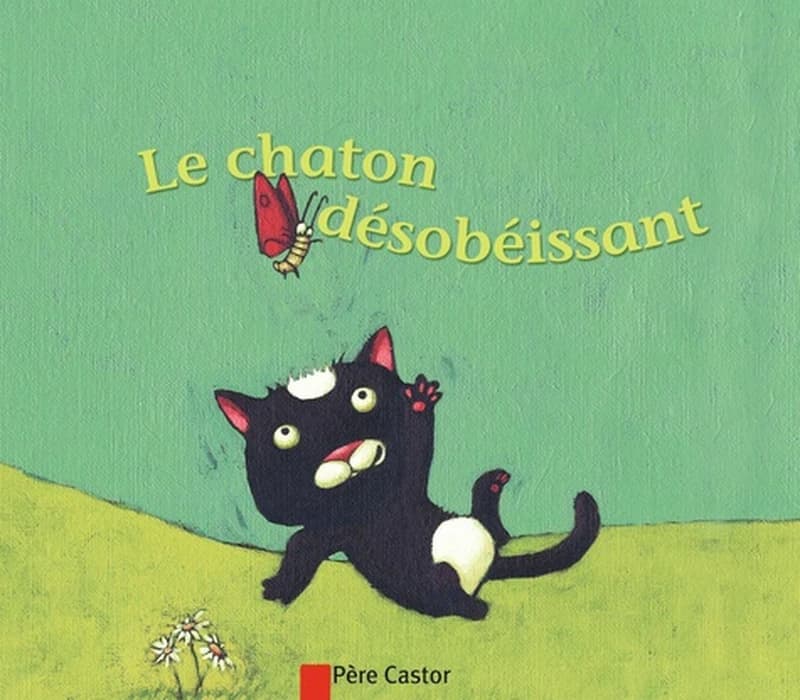 Le chaton désobéissant
