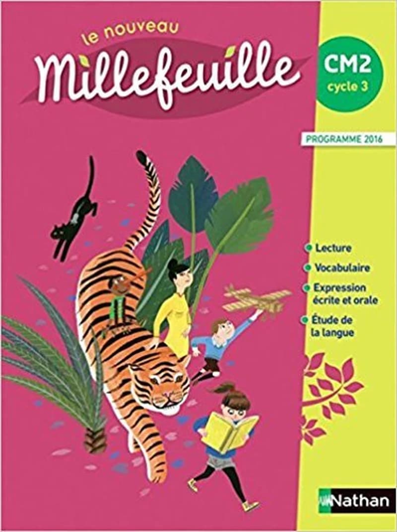 LE NOUVEAU MILLEFEUILLE CM2 - CAHIER D'ACTIVITES (EDITION 2017)