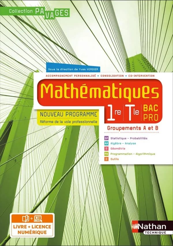 Pavages : mathématiques : 1re