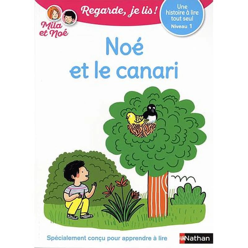 Noé et le canari