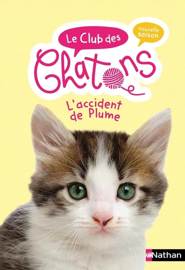 L'accident de Plume