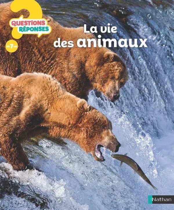 La vie des animaux ([Nouvelle éd.]) écrit par Belinda Weber ; traduit par Dominique Françoise