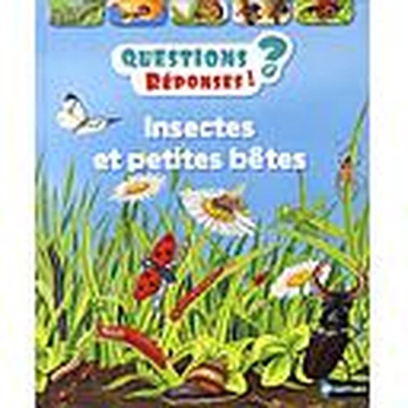 Insectes et petites bêtes