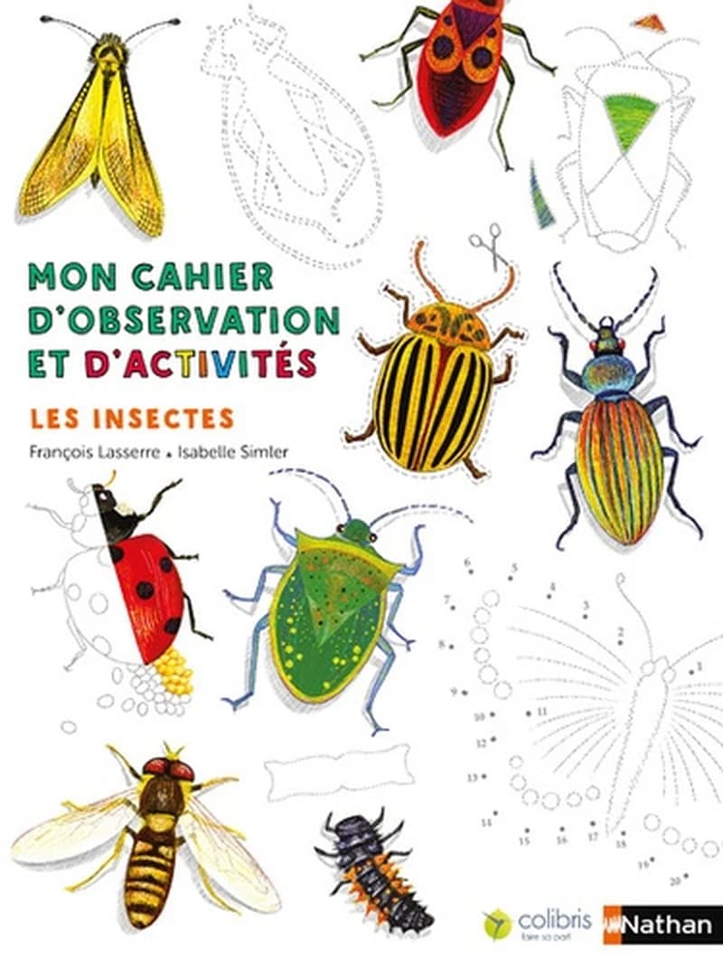 Les insectes