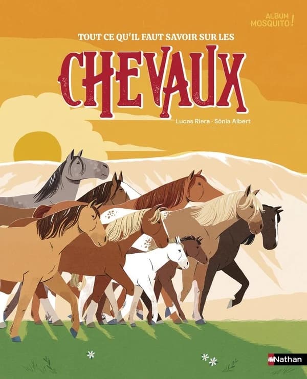 Tout ce qu'il faut savoir sur les chevaux