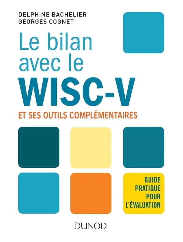 Le bilan avec le WISC-V : et ses outils complémentaires : [guide pratique pour l'évaluation]