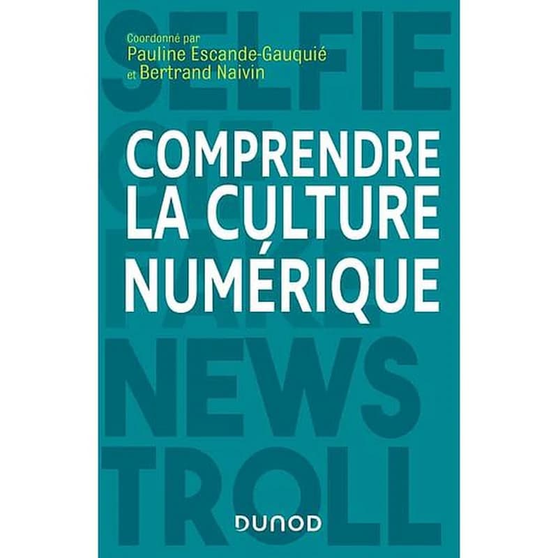 Comprendre la culture numérique