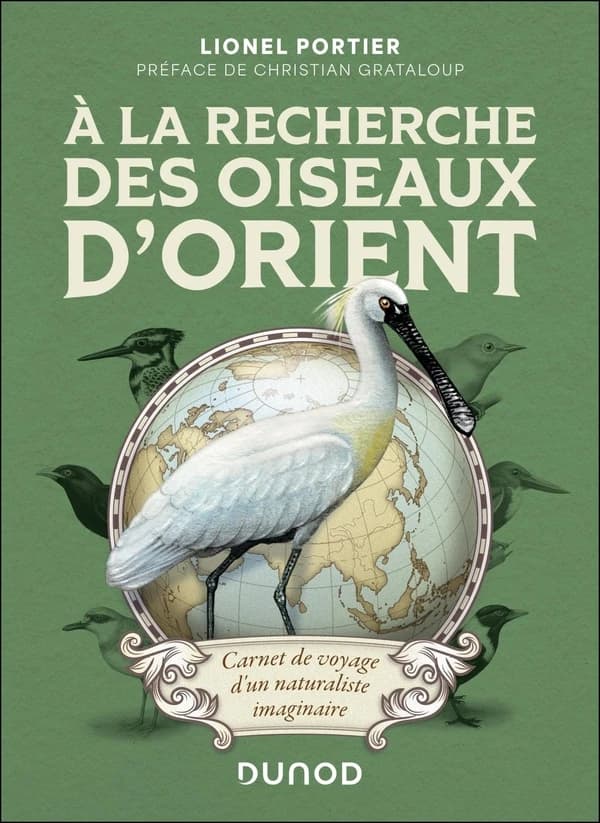 À la recherche des oiseaux d'Orient : carnet de voyage d'un naturaliste imaginaire
