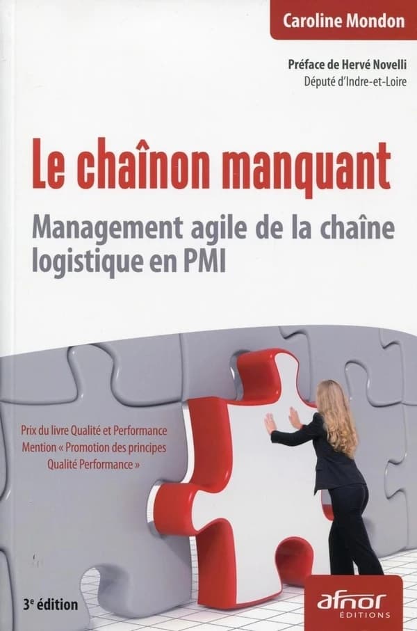 Le chaînon manquant : management agile de la chaîne logistique en PMI (3e éd.) Caroline Mondon ; préface de Hervé Novelli,...