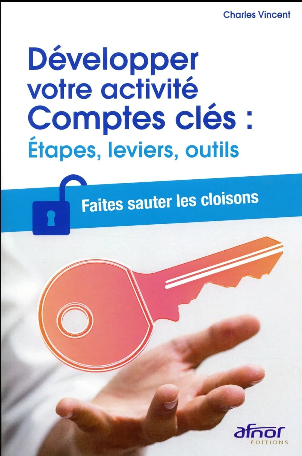 Développer votre activité comptes clés : étapes, leviers, outils : faites sauter les cloisons