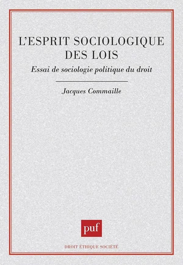 L'esprit sociologique des lois : essai de sociologie politique du droit