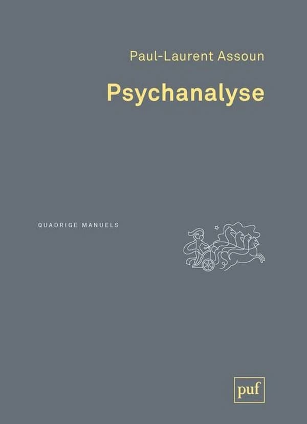 Psychanalyse ([Nouvelle éd.]) Paul-Laurent Assoun