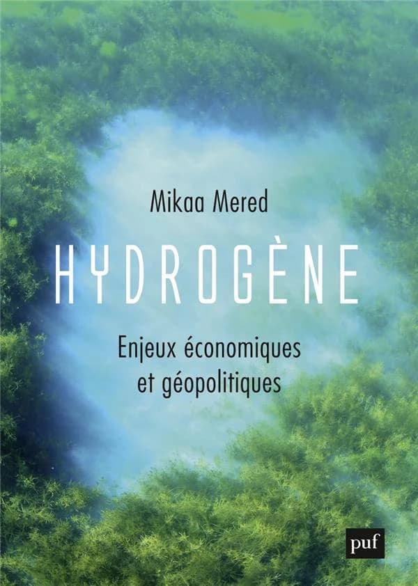 Hydrogène, enjeux économiques et géopolitiques