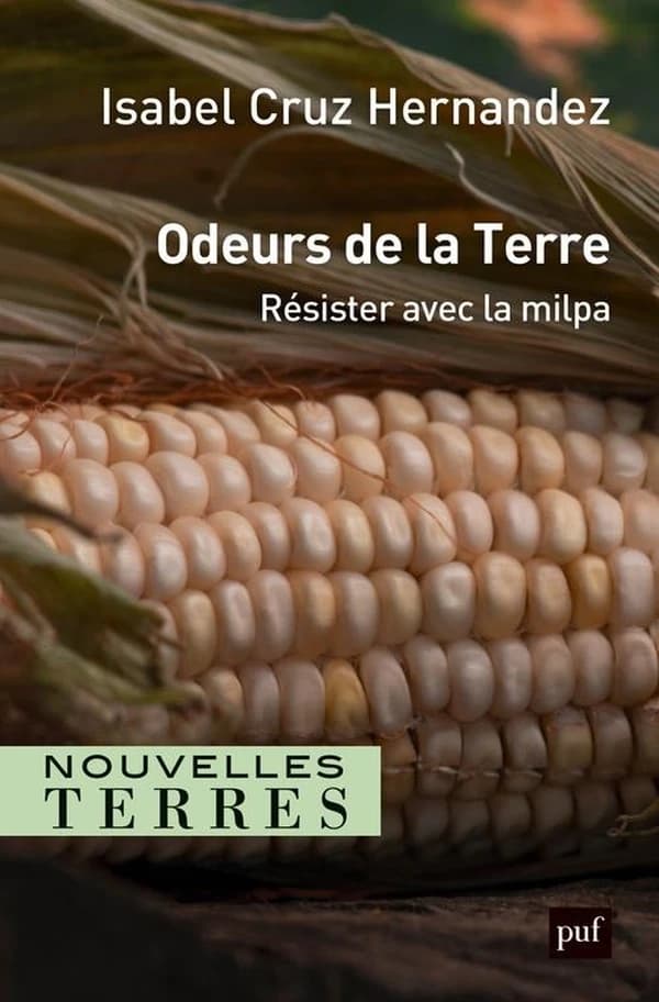 Odeurs de la terre : résister avec la milpa