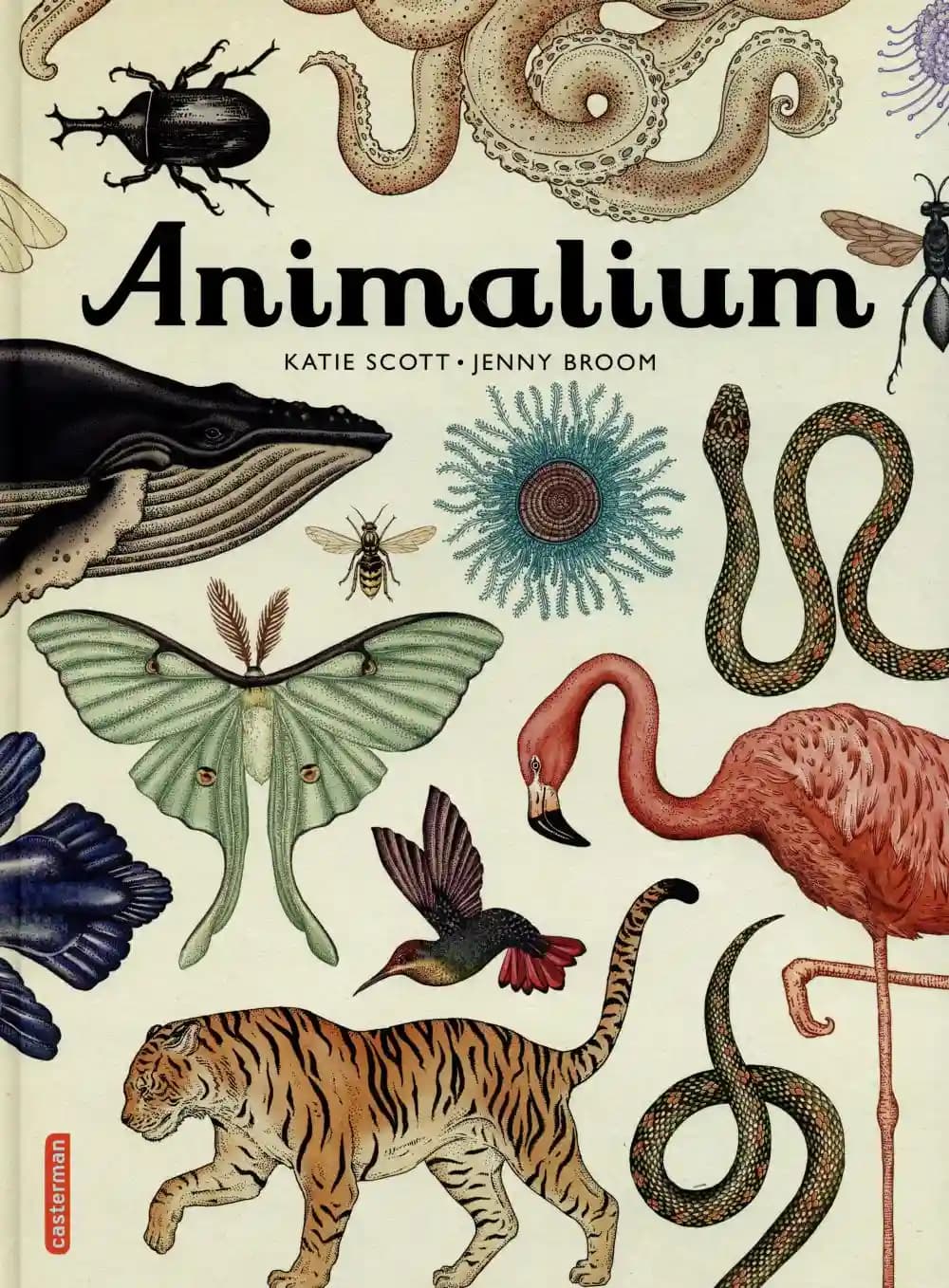 Animalium