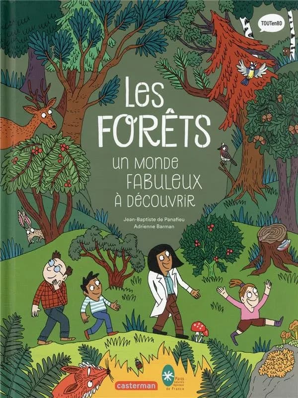 Les forêts : un monde fabuleux à découvrir