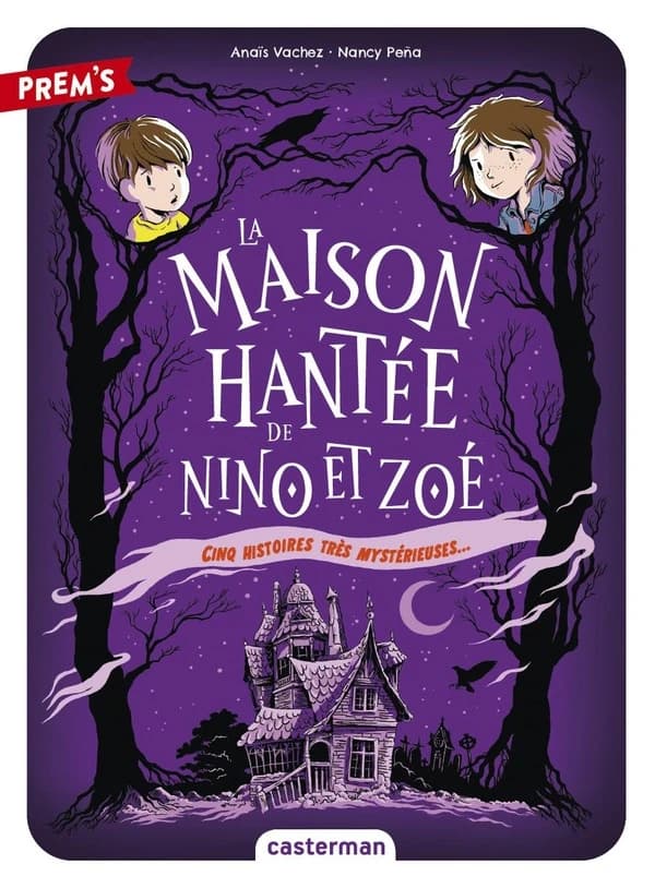 Cinq histoires très mystérieuses