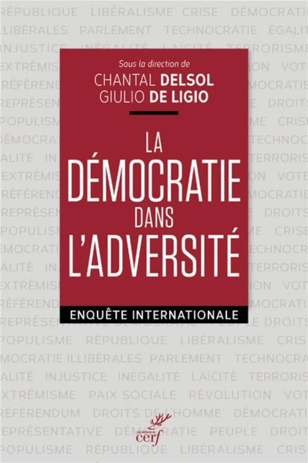 La démocratie dans l'adversité : enquête internationale